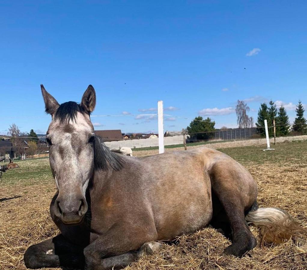 Agro Privat Hotell Hrabušice Exteriör bild